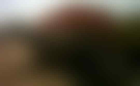 Hal Hal Yang Biasa Di Temui Di Jalan Lintas Provinsi