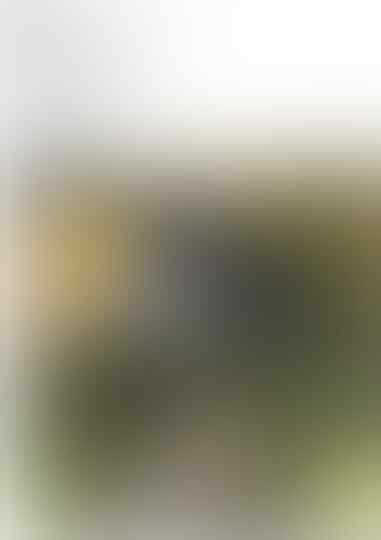 MIRIS. DI BANJARMASIN HEWAN LANGKA DILINDUNGI DIJUAL BEBAS DI MEDIA SOSIAL