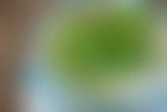 9 HAL Sia-Sia Yang Sering Dilakukan Oleh MANUSIA