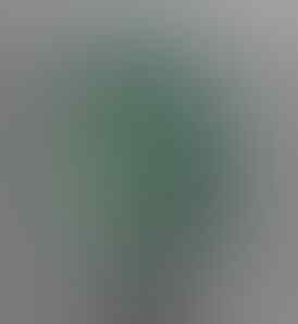 Lelang Batu All Item Ob 40rb, Bacan, Permata+memo, Katilayu end 21 apr 21:30
