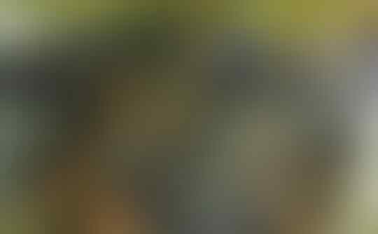 Jokowi Akan Lanjutkan Proyek Mobil Esemka