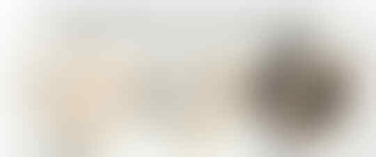 (MOST FAVOURITE) B-ZERO 855563,855564,191025,856732,191026,852523,855685 (16-20mm).