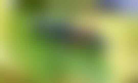 10 Parasit dengan kekuatan "mind-control"