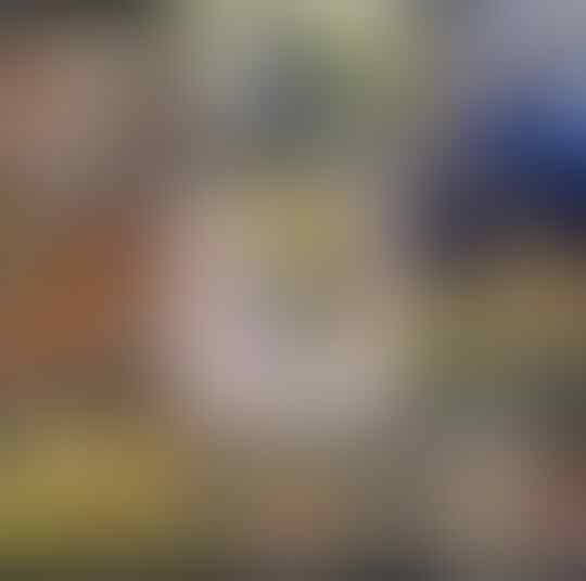 PARMA CALCIO 1913 #SERIE A 2019-2020 #BOYS PARMAGIANI KASKUS #UNASTORIAINFINITA