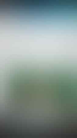 Koleksi Black Opal Grade Super &quot;International Class&quot; Low Price - Update Terus