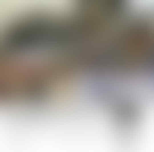 Mendikbud Sesalkan MOS di SMAN 2 Tangerang