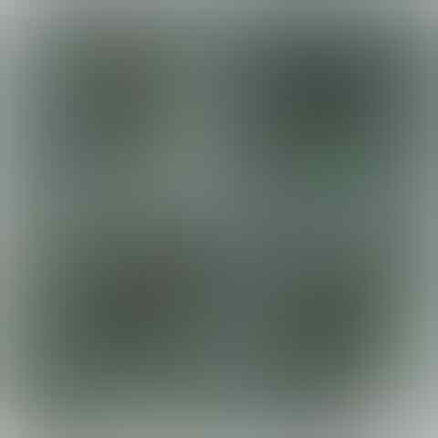 Koleksi Black Opal Grade Super &quot;International Class&quot; Low Price - Update Terus