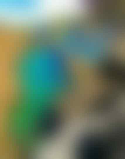 Surga di Tulungagung, Foto Pantai Kedung Tumpang Bikin Melongo