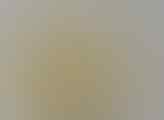 LELANG BANJIR PERMATA SILVER 925 , BULU MACAN, B OPAL, JAMRUD OB 40K END 8 SEP 21:31