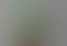 LELANG BANJIR PERMATA SILVER 925 , BULU MACAN, B OPAL, JAMRUD OB 40K END 8 SEP 21:31