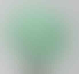 LELANG BANJIR PERMATA SILVER 925 , BULU MACAN, B OPAL, JAMRUD OB 40K END 8 SEP 21:31