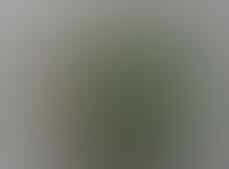 LELANG BANJIR PERMATA SILVER 925 , BULU MACAN, B OPAL, JAMRUD OB 40K END 8 SEP 21:31
