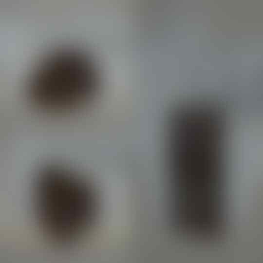 JUAL ROUGH / BAHAN CAT EYE CHALCEDONY MUMER