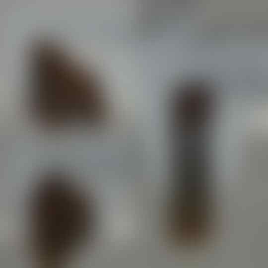JUAL ROUGH / BAHAN CAT EYE CHALCEDONY MUMER