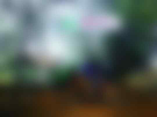 &#9733;&#9733;&#9733;&#3665;&#1769;&#1769;&#8362; KOSKAS chapter JAKARTA &#3665;&#1769;&#1769;&#8362;&#9733;&#9733;&#9733; - Part 1