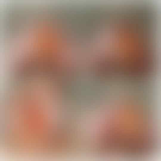 LELANG KE 65 BATU BIASA DAIVA GEMS