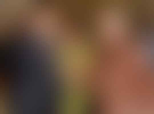 Setya Novanto Mangkir Terus, Bagaimana Tindakan Kejagung?