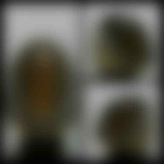 LELANG &gt;&gt; HADIR KEMBALI DENGAN KOLEKSI TERBAIK sd MINGGU 24-1-2016 &gt;&gt; 21.00