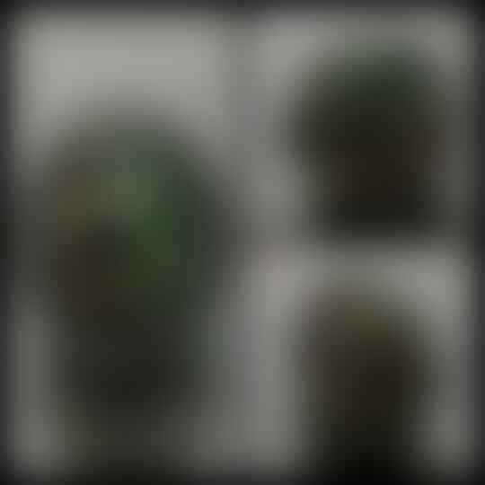 LELANG &gt;&gt; HADIR KEMBALI DENGAN KOLEKSI TERBAIK sd MINGGU 24-1-2016 &gt;&gt; 21.00