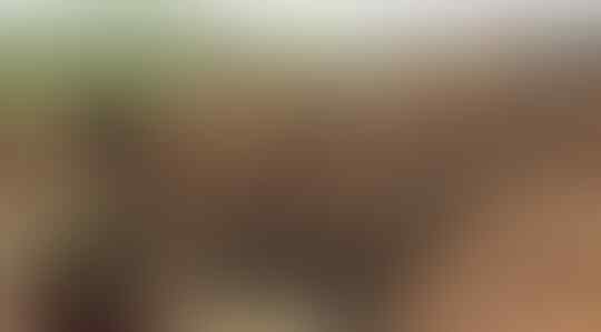 Tetesan Keringat dan Darah Anak Anak Kongo di Dalam Smartphone Mewah Kita