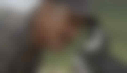 Ini pinguin tiap tahun berkunjung ke nelayan yang selamatkan dirinya gan