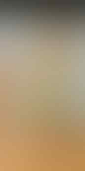 LELANG CEYLON, BTB, MYSTIC, JAMRUD, CUB EMAS, PYRUS, BACAN OB DR 0 END 21 MAR 21.31