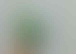 LELANG CEYLON, BTB, MYSTIC, JAMRUD, CUB EMAS, PYRUS, BACAN OB DR 0 END 21 MAR 21.31