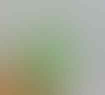 LELANG CEYLON, BTB, MYSTIC, JAMRUD, CUB EMAS, PYRUS, BACAN OB DR 0 END 21 MAR 21.31
