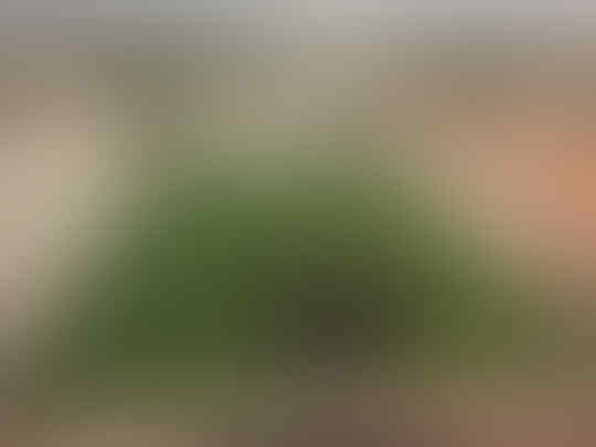 Inilah Hasil Kerja Orang Paling Niat di Muka Bumi