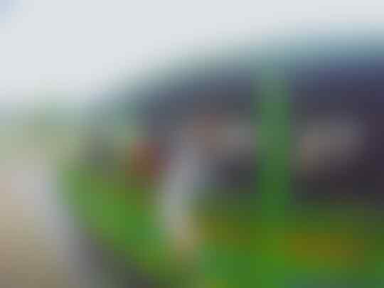 Backpackeran murah ke Waerebo