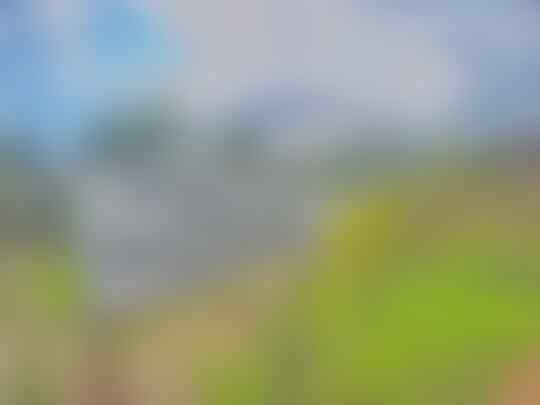 Backpackeran murah ke Waerebo