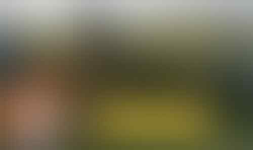 AHOK KETANGKAP CAMERA MAIN GOLF