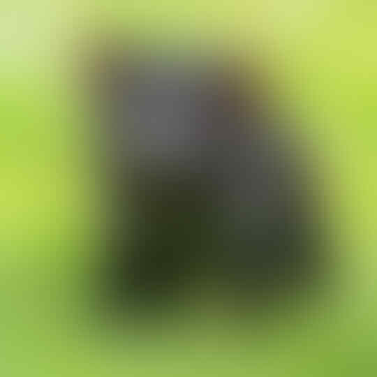 Hewan Marsupial yang mungkin agan gak tau