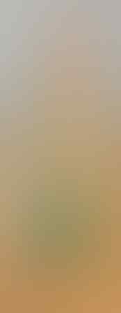 LELANG ALL OB NOL CEYLON PERMATA, MYSTIC, JAMRUD, AKIK, B.O BANTEN, END 24 MEI 21.31