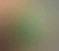 LELANG ALL OB NOL CEYLON PERMATA, MYSTIC, JAMRUD, AKIK, B.O BANTEN, END 24 MEI 21.31
