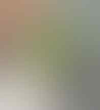LELANG ALL OB NOL BANJIR SILVER 925 PERMATA, JAMRUD, MYSTIC, AKIK END 31 MEI 21.31