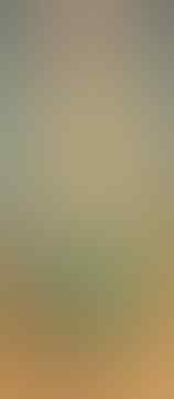 LELANG ALL OB NOL BANJIR SILVER 925 PERMATA, JAMRUD, MYSTIC, AKIK END 31 MEI 21.31