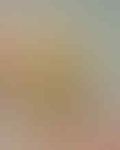 LELANG ALL OB NOL BANJIR SILVER 925 PERMATA, JAMRUD, MYSTIC, AKIK END 31 MEI 21.31