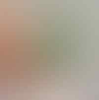 LELANG ALL OB NOL BO BANTEN, BTB, SILVER PERMATA, JAMRUD, MYSTIC END 15 JUN 21.31