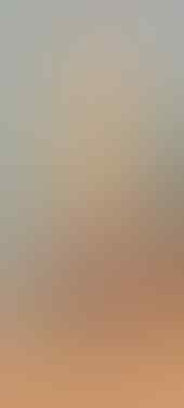 LELANG ALL OB NOL BO BANTEN, BTB, SILVER PERMATA, JAMRUD, MYSTIC END 15 JUN 21.31
