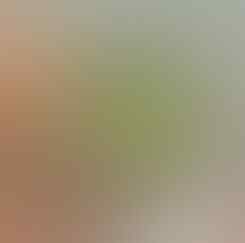 LELANG KAY_BRILIANT PERMATA, BO BANTEN, AGATE, DLL ALL OB NOL END 21 JUN 21.31