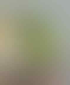 LELANG KAY_BRILIANT PERMATA, BO BANTEN, AGATE, DLL ALL OB NOL END 21 JUN 21.31