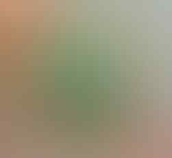 LELANG KAY_BRILIANT PERMATA, BO BANTEN, AGATE, DLL ALL OB NOL END 21 JUN 21.31