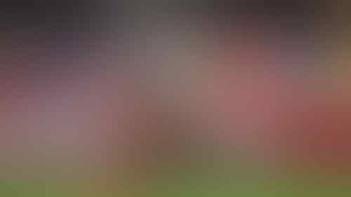 Bersinar Lewat Euro 2016, Mereka yang Jadi Buah Bibir Bursa Transfer