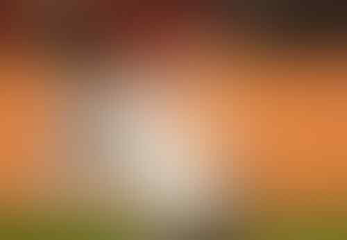 Bersinar Lewat Euro 2016, Mereka yang Jadi Buah Bibir Bursa Transfer