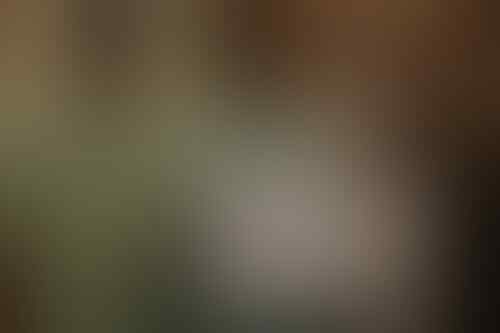 Dimediasi, Kasus Guru yang Cubit Murid Berakhir Damai