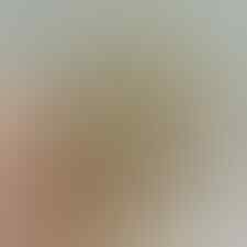 LELANG KAY_BRILIANT PERMATA SILVER, BO BANTEN, JAMRUD, AGATE, END 17 JUL 21.31