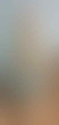 LELANG KAY_BRILIANT PERMATA SILVER, BO BANTEN, JAMRUD, AGATE, END 17 JUL 21.31