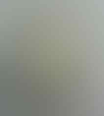 LELANG KAY_BRILIANT PERMATA SILVER, BO BANTEN, JAMRUD, AGATE, END 17 JUL 21.31