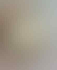 LELANG KAY_BRILIANT PERMATA SILVER, BO BANTEN, JAMRUD, AGATE, END 17 JUL 21.31
